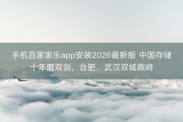 手机百家家乐app安装2026最新版 中国存储十年磨双剑,合肥、武汉双城鼎峙